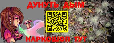 мдпв Кингисепп