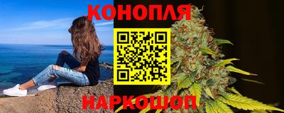 мдпв Кингисепп