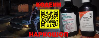 мдпв Кингисепп