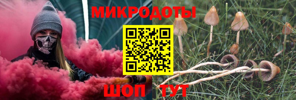 Галлюциногенные грибы Magic Shrooms  Вход с VPN  Котовск  Галлюциногенные грибы Psilocybe 