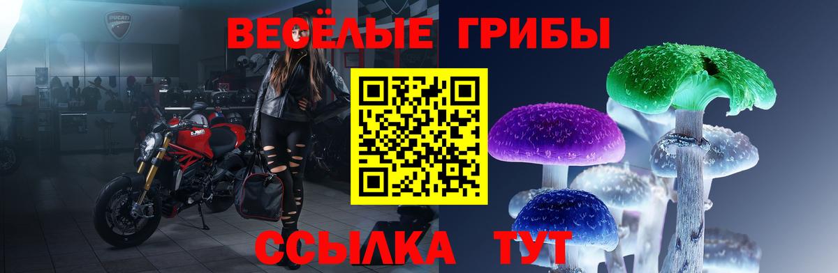 Галлюциногенные грибы мухоморы Котовск